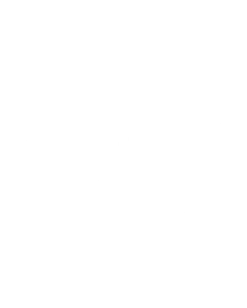 Tata Steel